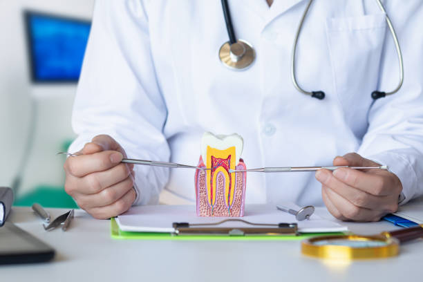 Best Emergency Tooth Extraction in Scow Mills, MO